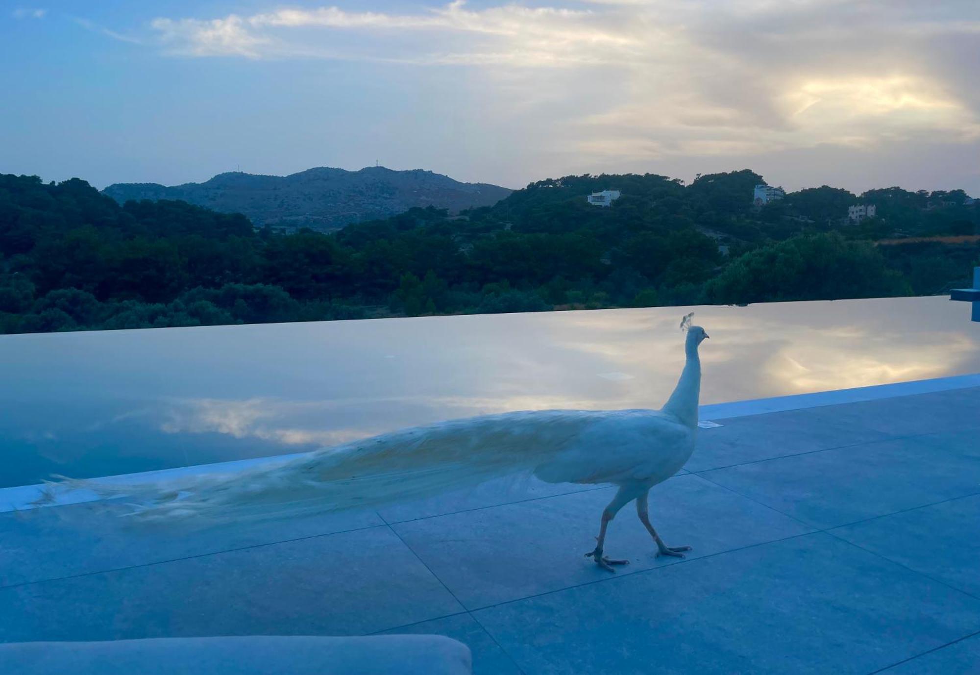 Ano Kampos Hotel ฟาลิรากี ภายนอก รูปภาพ
